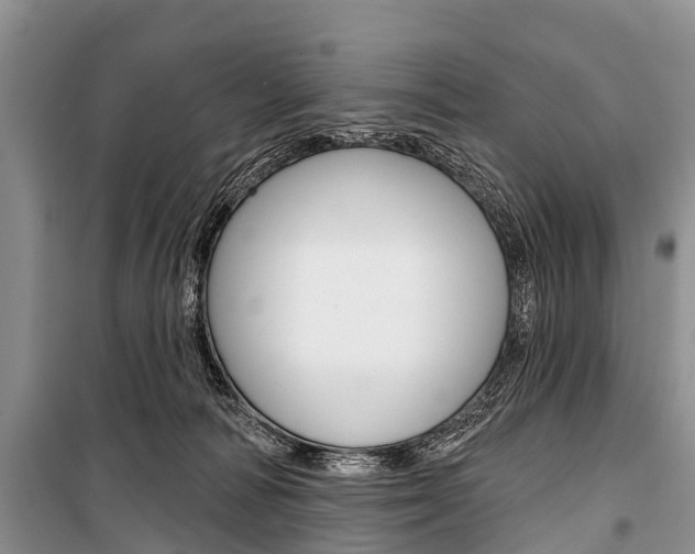 X0000101210226200806270901