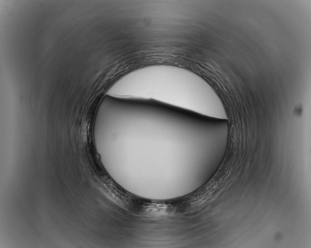 X0000101210227200806270901