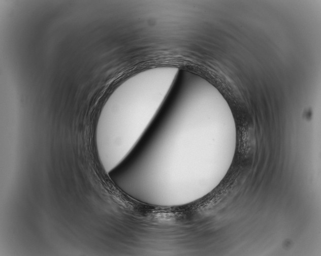 X0000101210228200806270901