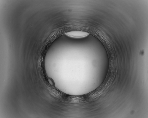 X0000101210229200806270901