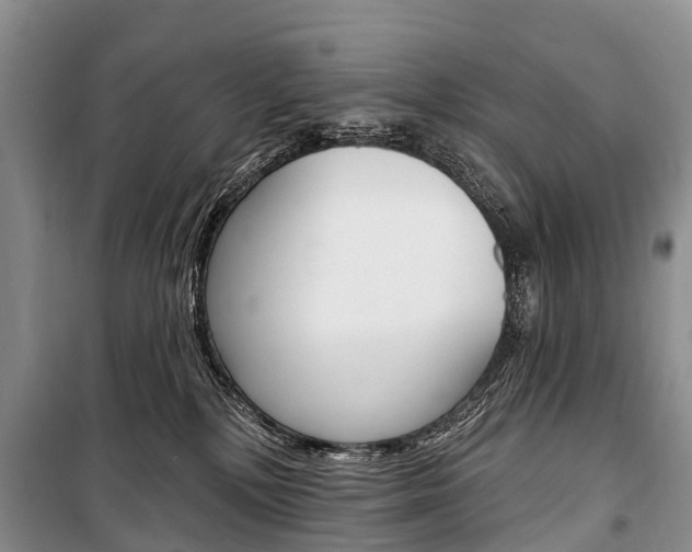 X0000101210232200806270901
