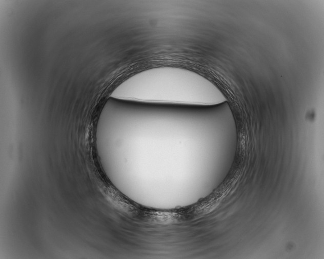 X0000101210233200806270901