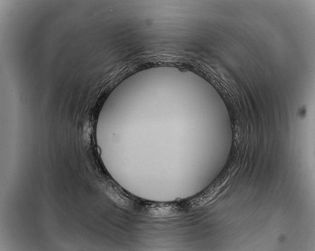 X0000101210235200806270901