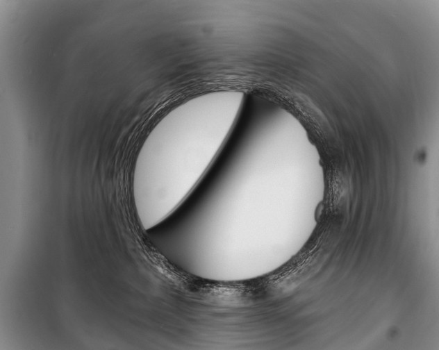 X0000101210236200806270901