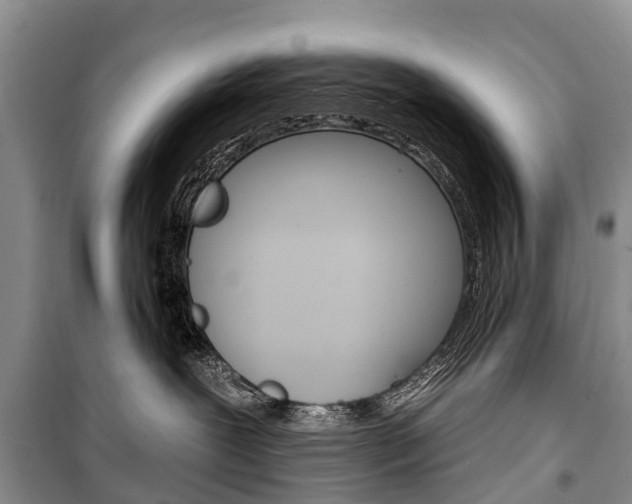 X0000101210239200806270901