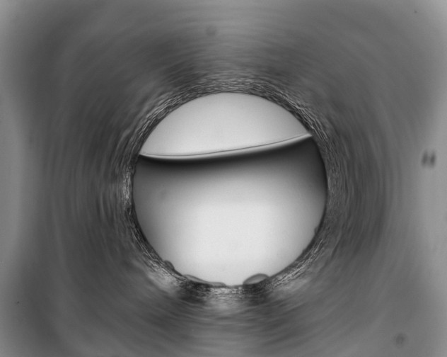 X0000101210240200806270901