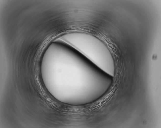 X0000101210241200806270900
