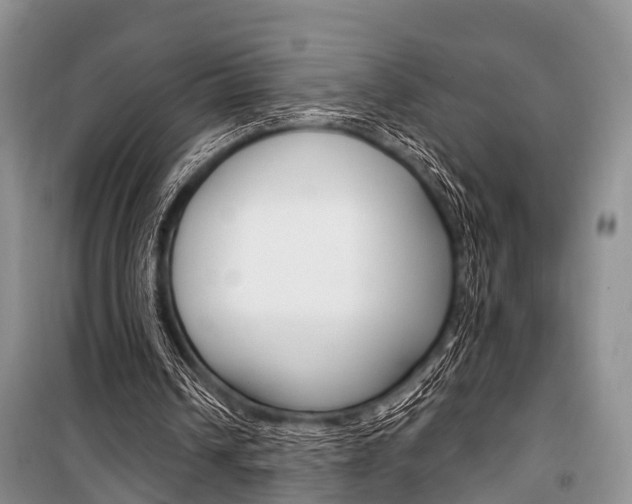 X0000101210242200806270900