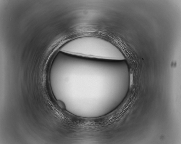 X0000101210243200806270900
