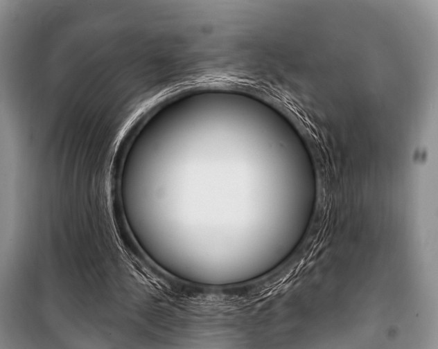 X0000101210244200806270900