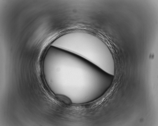 X0000101210245200806270900