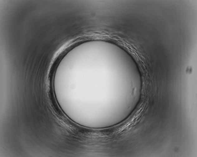 X0000101210246200806270900