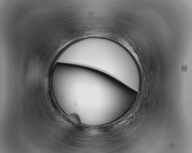 X0000101210249200806270900
