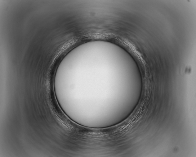 X0000101210250200806270900