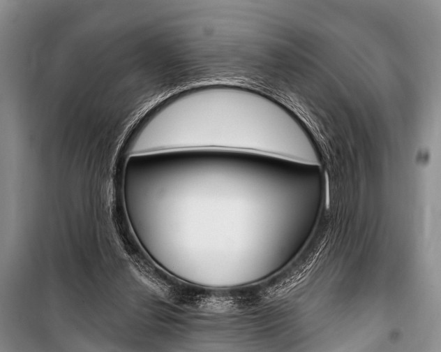 X0000101210252200806270900