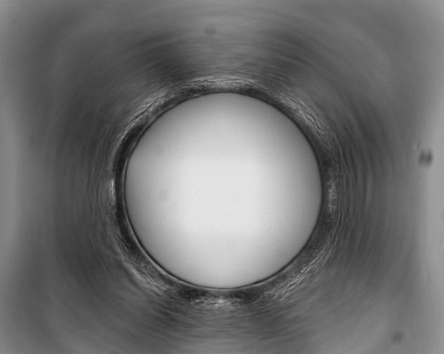 X0000101210254200806270901
