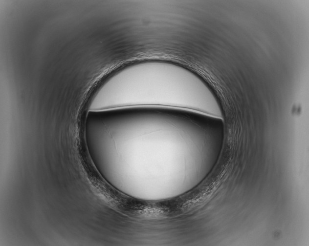 X0000101210256200806270901