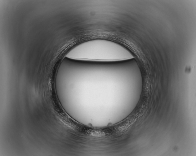 X0000101210258200806270901