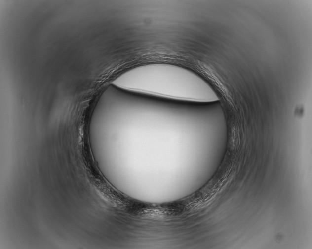 X0000101210259200806270901