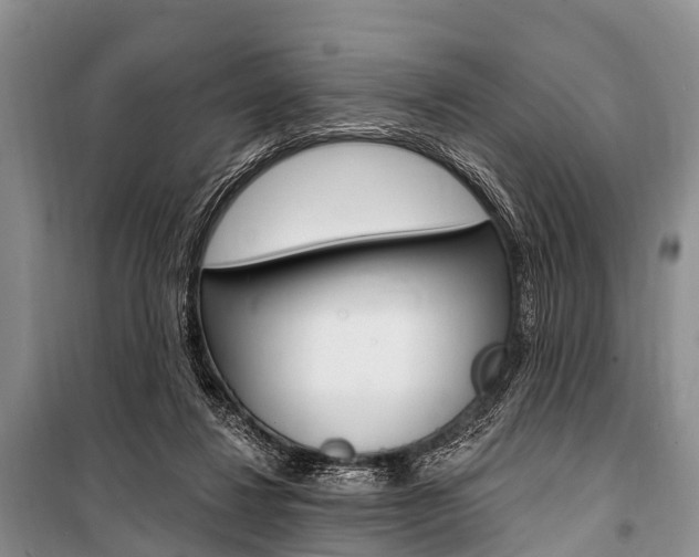 X0000101210260200806270901