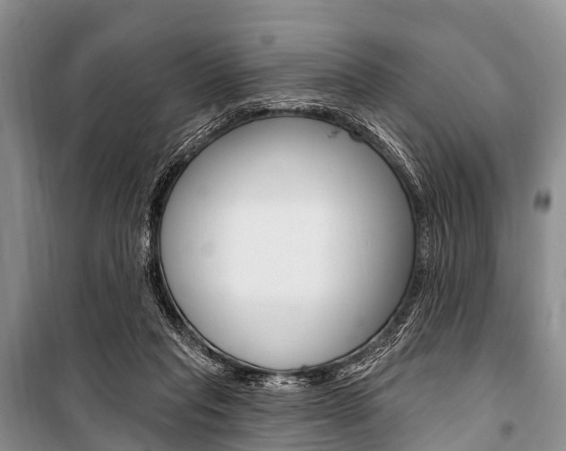 X0000101210261200806270901