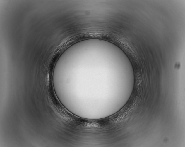 X0000101210262200806270901