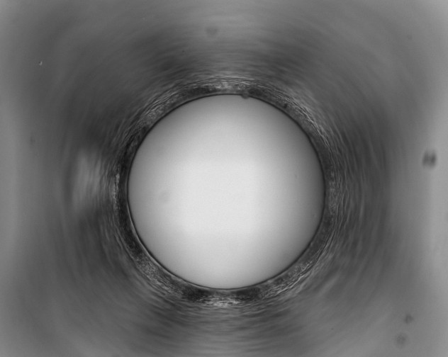 X0000101210263200806270901