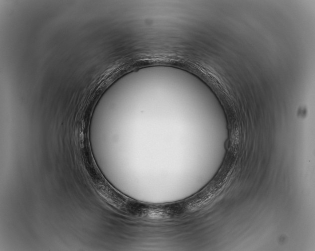 X0000101210264200806270901