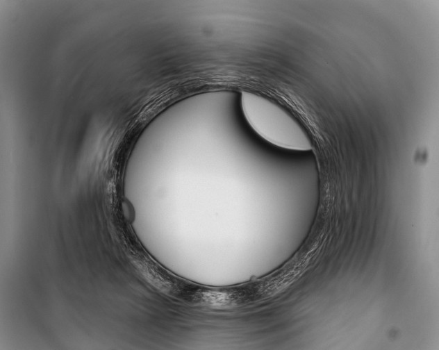X0000101210265200806270901