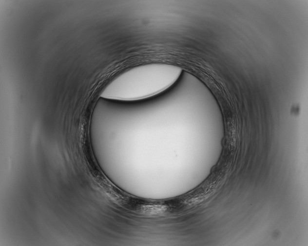 X0000101210266200806270901