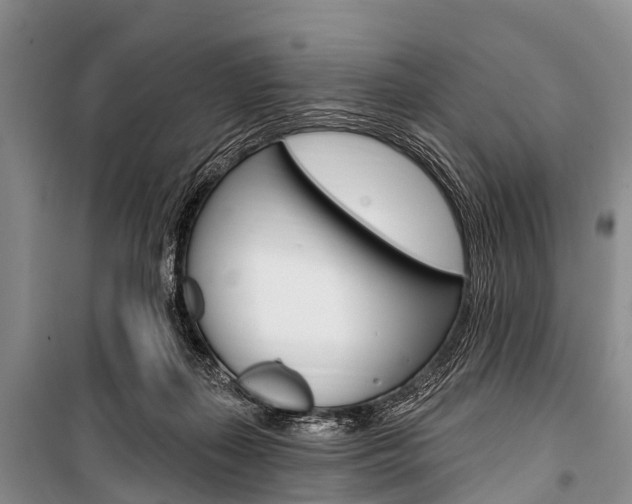 X0000101210267200806270901