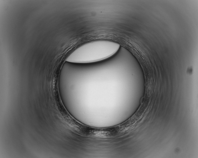 X0000101210268200806270901