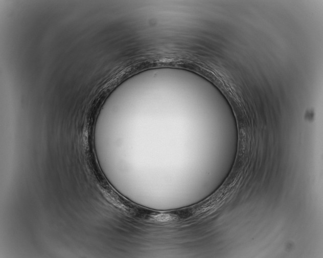 X0000101210269200806270901