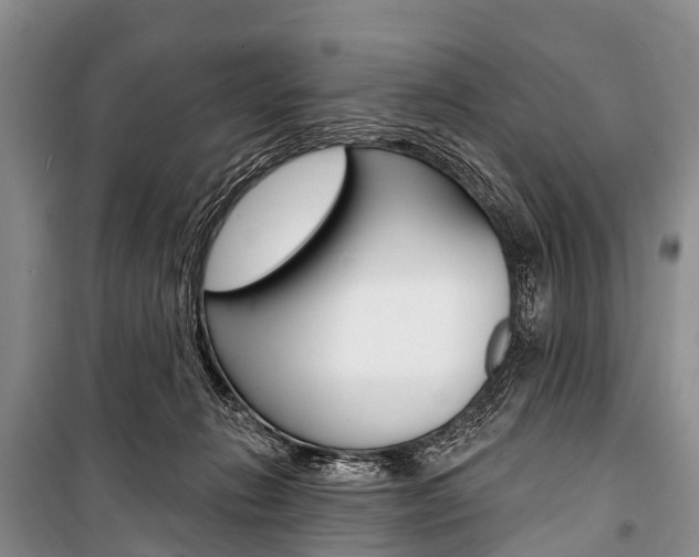 X0000101210270200806270901