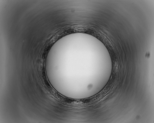 X0000101210271200806270901