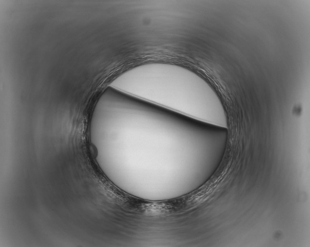 X0000101210273200806270901