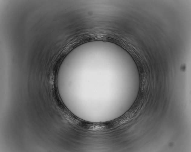 X0000101210274200806270901