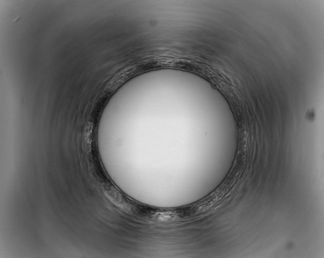 X0000101210275200806270901