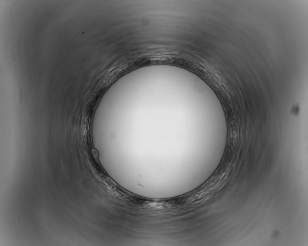 X0000101210277200806270901