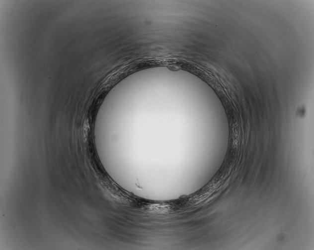 X0000101210279200806270901