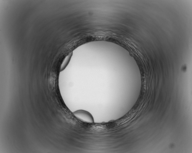 X0000101210283200806270901