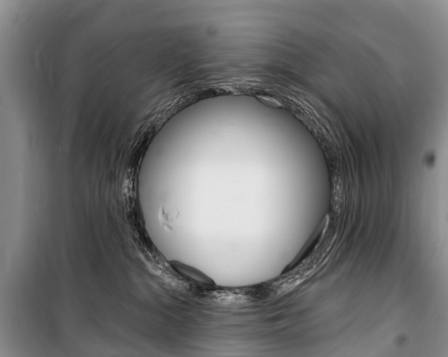 X0000101210284200806270901