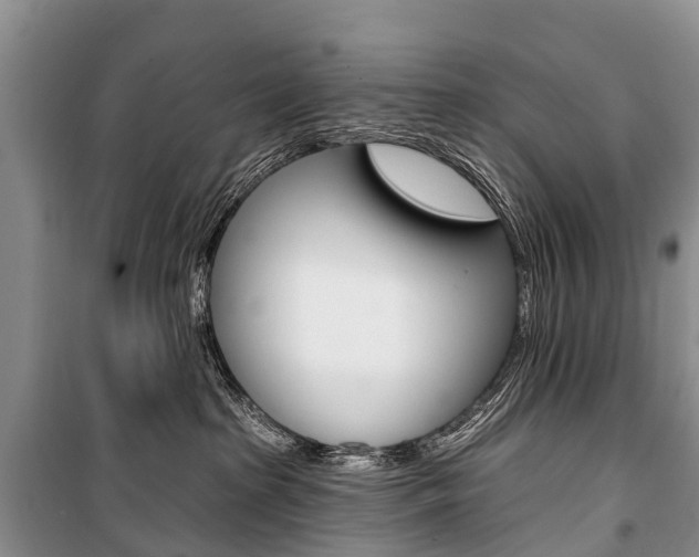 X0000101210285200806270901