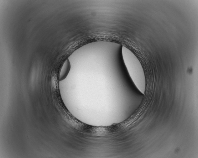 X0000101210287200806270901