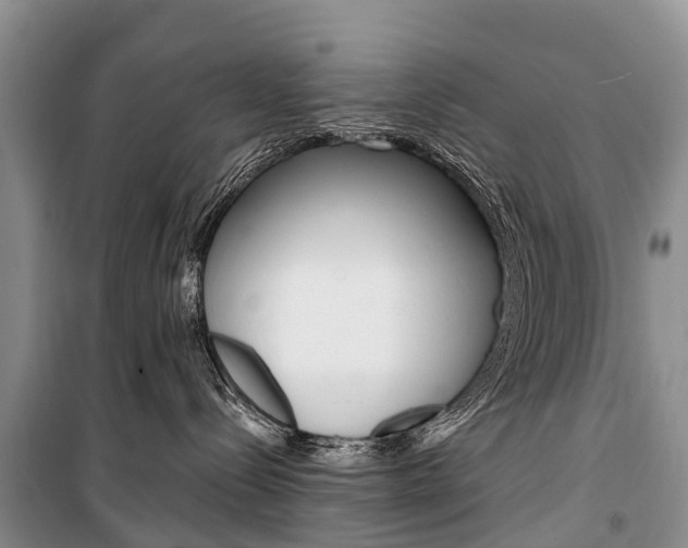 X0000101210288200806270901