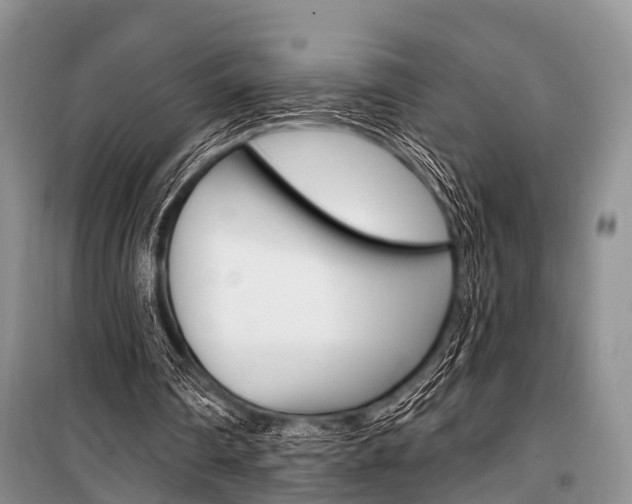 X0000101210290200806270900