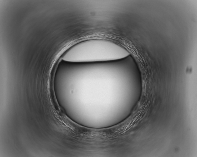 X0000101210292200806270900