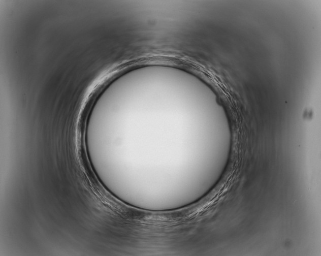 X0000101210294200806270900
