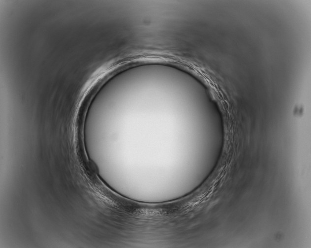 X0000101210296200806270900