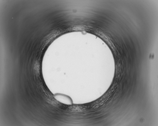 X0000101210297200806270900